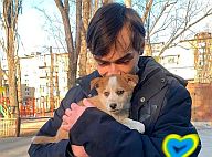 Собачий патруль по-українськи: як волонтери рятують чотирилапих у Києві