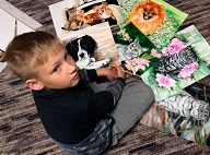 9-летний мальчик меняет свои рисунки на еду, чтоб отдать её в приют для животных
