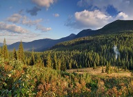 Июльский поход в Горганы