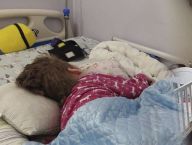"Годуємо під пострілами": як живе дитячий центр паліативної допомоги у Харкові