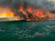 У Європі цьогоріч вигоріла рекордна кількість лісу - 660 тисяч гектарів